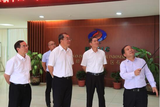 自治区人大常委会副主任、党组书记王跃飞到中国·印尼经贸合作区考察指导工作